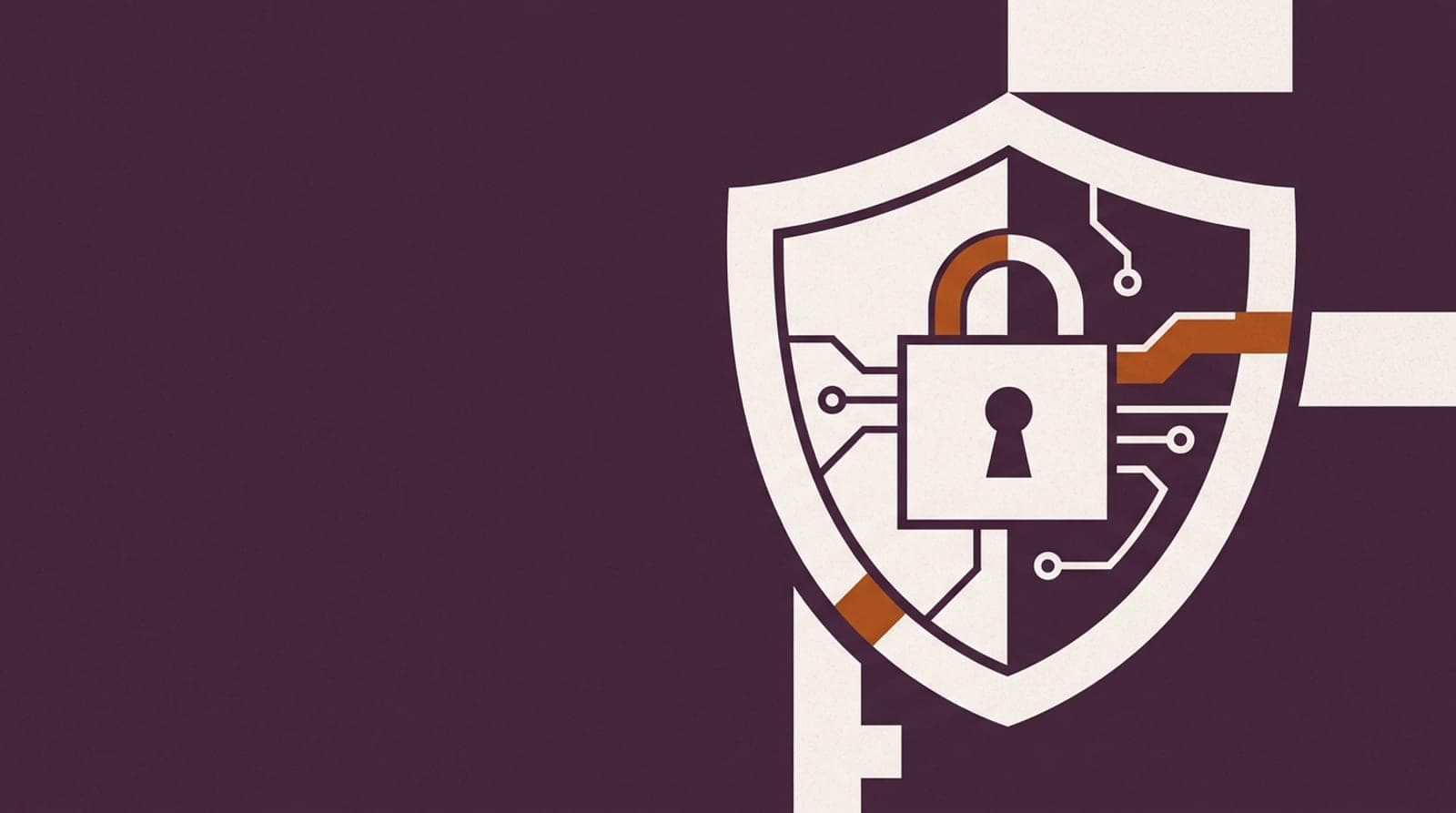 Illustration: a shield with a keylock on a deep plum background